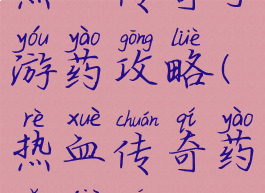热血传奇手游药攻略(热血传奇药品价格)