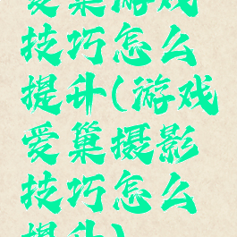 爱巢游戏技巧怎么提升(游戏爱巢摄影技巧怎么提升)