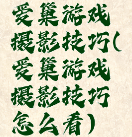爱巢游戏摄影技巧(爱巢游戏摄影技巧怎么看)