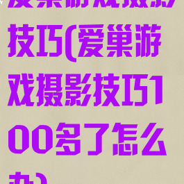 爱巢游戏摄影技巧(爱巢游戏摄影技巧100多了怎么办)