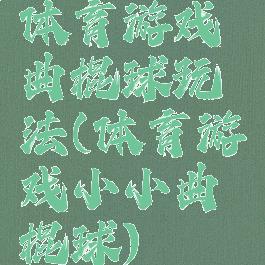 体育游戏曲棍球玩法(体育游戏小小曲棍球)