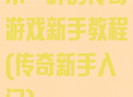 不一样的传奇游戏新手教程(传奇新手入门)
