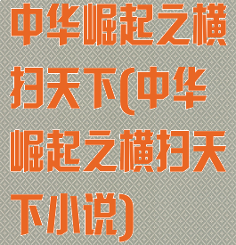 中华崛起之横扫天下(中华崛起之横扫天下小说)