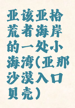 亚该亚拾荒者海岸的一处小海湾(亚那沙漠入口贝壳)