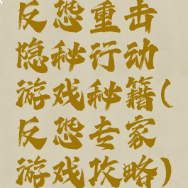 反恐重击隐秘行动游戏秘籍(反恐专家游戏攻略)