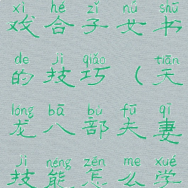 天龙八部游戏合子女书的技巧(天龙八部夫妻技能怎么学)