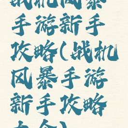 战机风暴手游新手攻略(战机风暴手游新手攻略大全)
