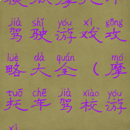 模拟摩托车驾驶游戏攻略大全(摩托车驾校游戏)