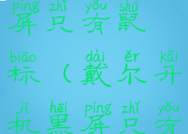 沙滩排球黑屏只有鼠标(戴尔开机黑屏只有鼠标)