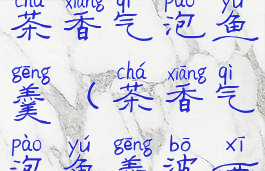 波西亚时光茶香气泡鱼羹(茶香气泡鱼羹波西亚时光)