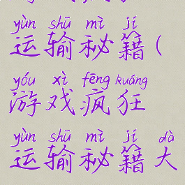 游戏疯狂运输秘籍(游戏疯狂运输秘籍大全)