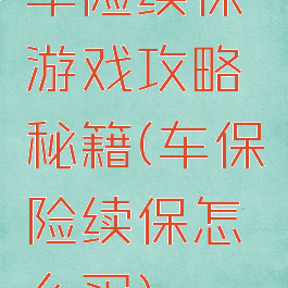 车险续保游戏攻略秘籍(车保险续保怎么买)