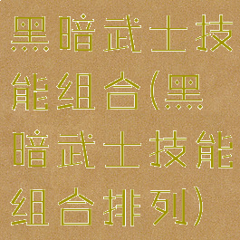 黑暗武士技能组合(黑暗武士技能组合排列)
